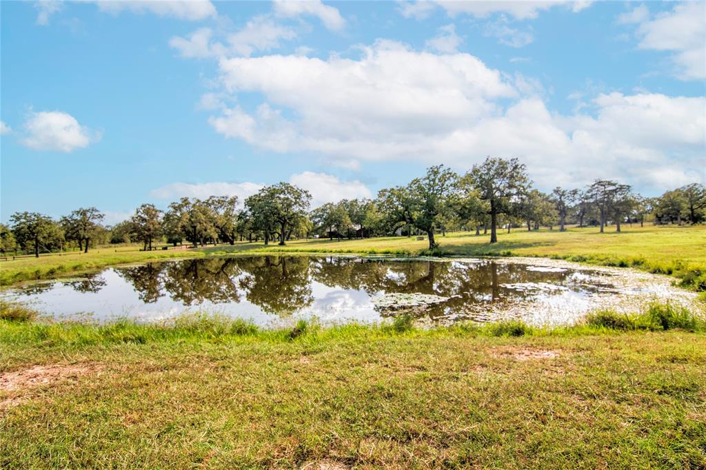 2542 Hwy 77, Giddings, Texas image 8