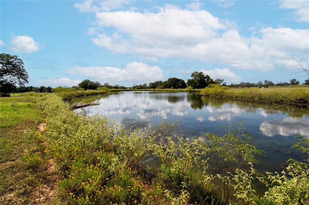 2542 Hwy 77, Giddings, Texas image 11