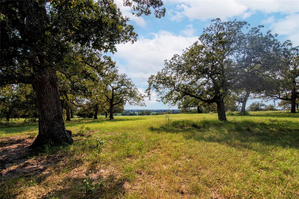 2542 Hwy 77, Giddings, Texas image 6