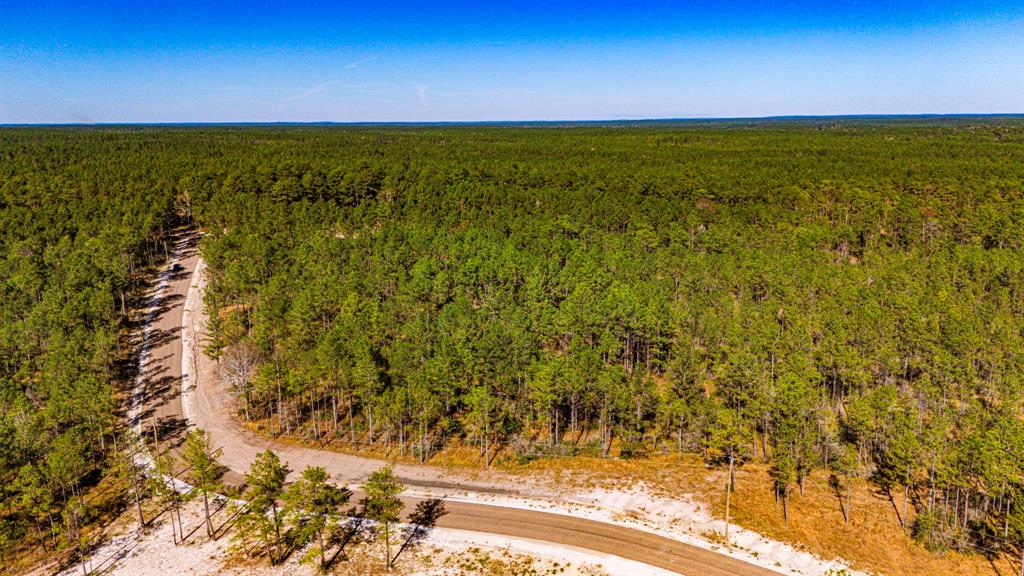 0312 King Ranch Road, Onalaska, Texas image 5