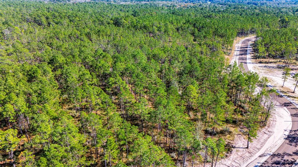 0312 King Ranch Road, Onalaska, Texas image 6