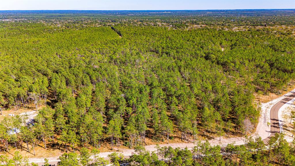 0312 King Ranch Road, Onalaska, Texas image 2
