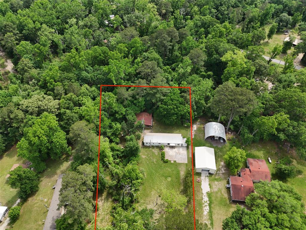 254 Timberline Drive, Onalaska, Texas image 1