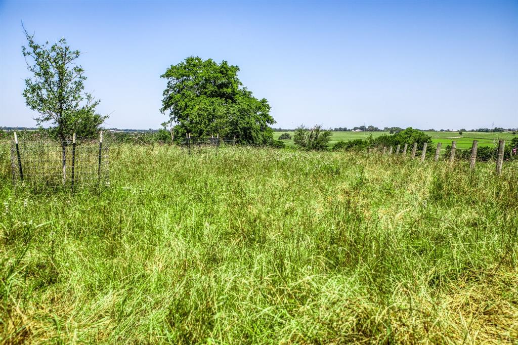 4753 Blezinger Road, New Ulm, Texas image 18