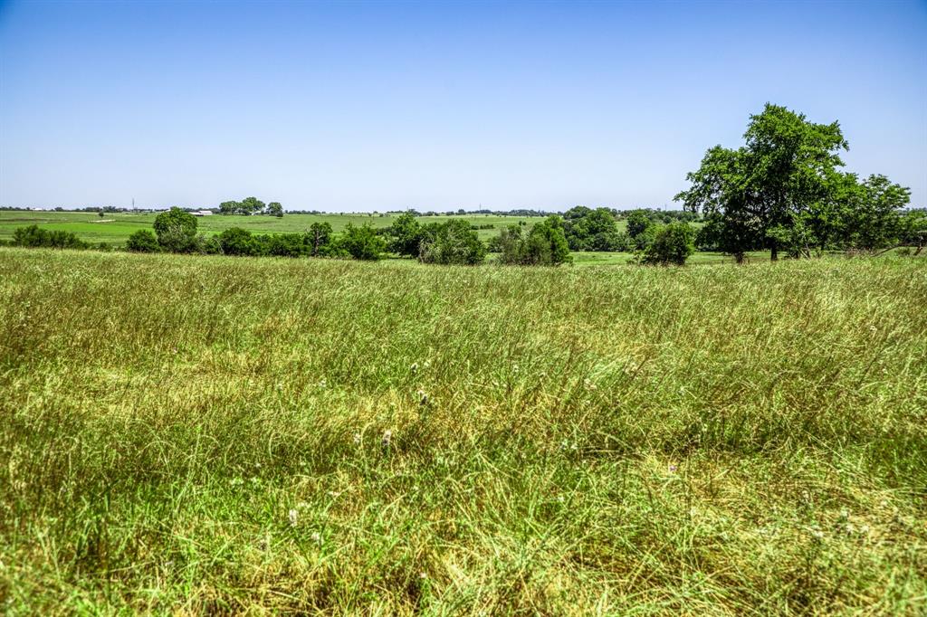 4753 Blezinger Road, New Ulm, Texas image 16