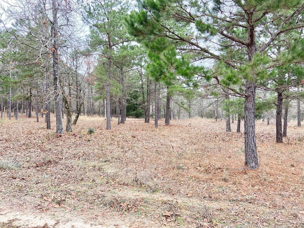 3729 Pine Wood Way, Larue, Texas image 9