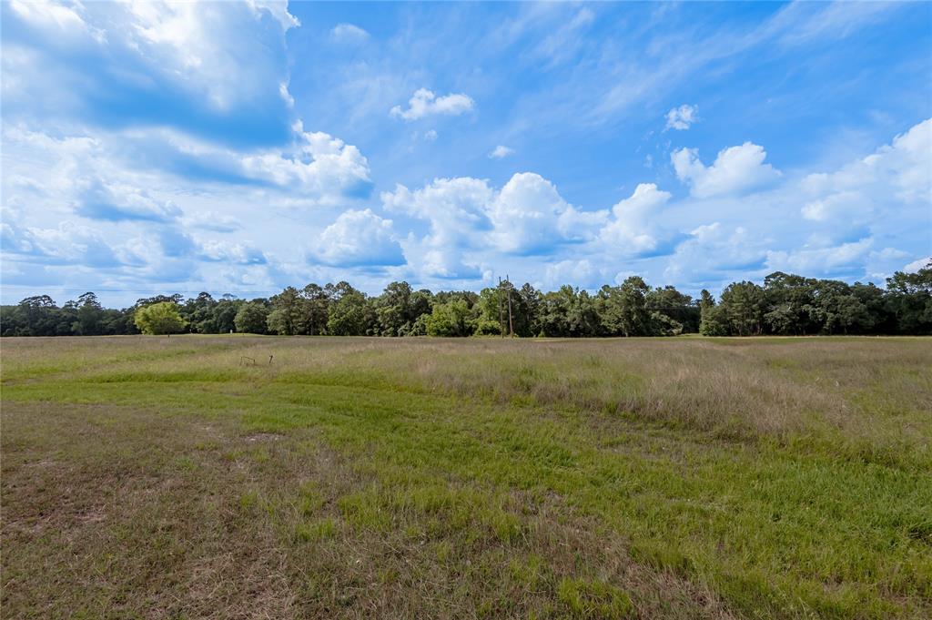 Lot 2 Richmond Circle, Trinity, Texas image 3