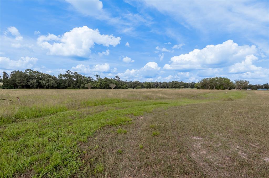 Lot 2 Richmond Circle, Trinity, Texas image 10