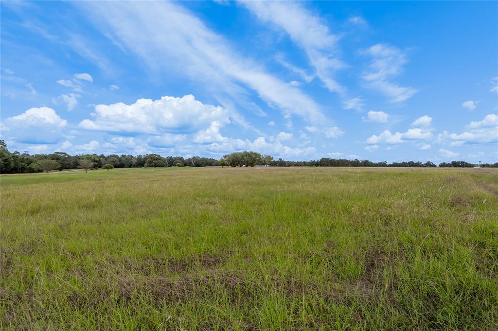 Lot 2 Richmond Circle, Trinity, Texas image 9