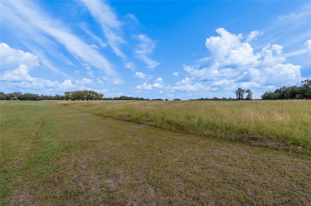 Lot 2 Richmond Circle, Trinity, Texas image 8