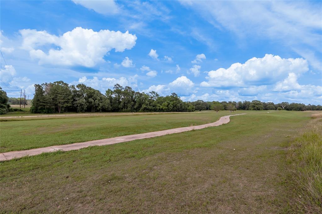 Lot 2 Richmond Circle, Trinity, Texas image 7