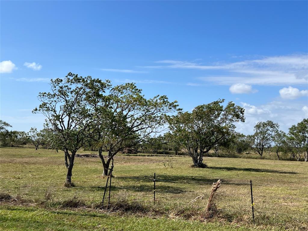 000 Redfish Drive, Hitchcock, Texas image 11