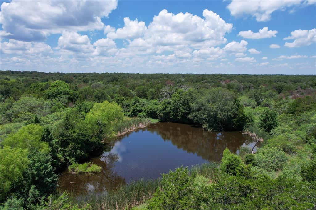 Boehnke Road, La Grange, Texas image 12