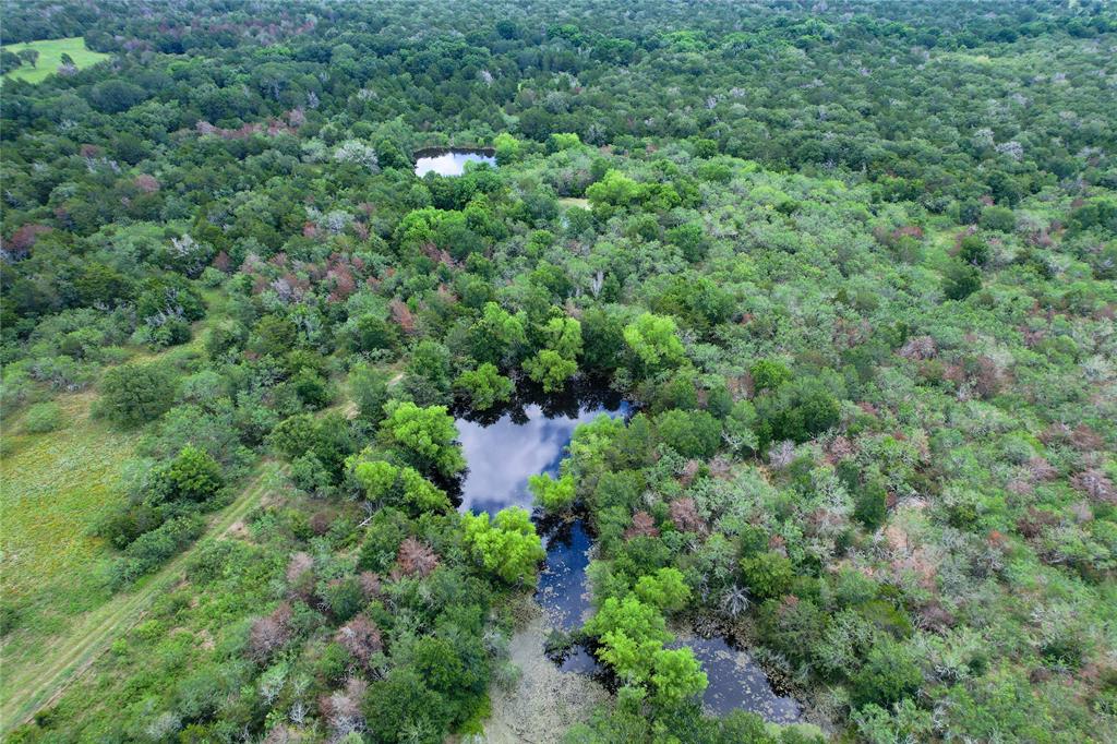 Boehnke Road, La Grange, Texas image 3