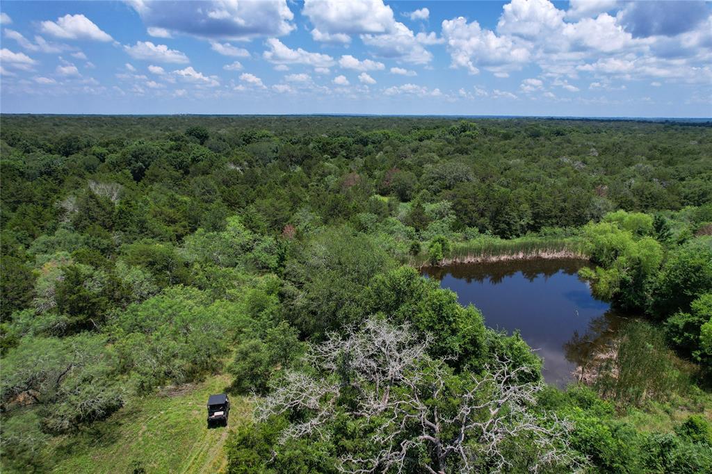 Boehnke Road, La Grange, Texas image 5