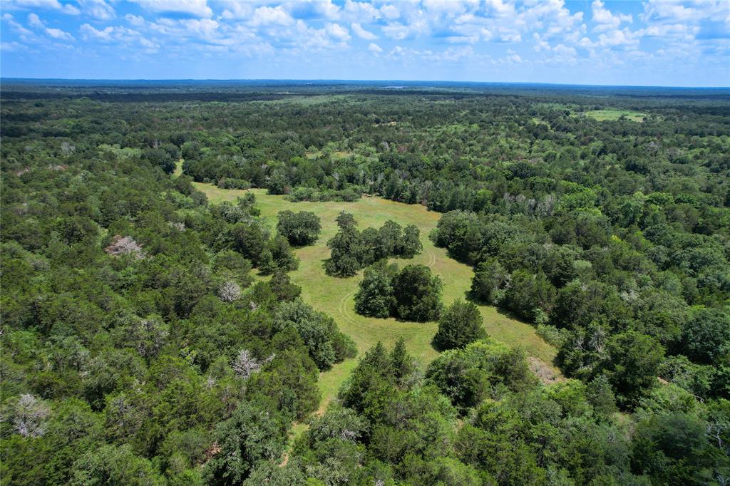 Boehnke Road, La Grange, Texas image 10