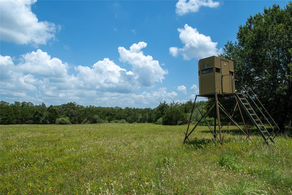 Boehnke Road, La Grange, Texas image 2