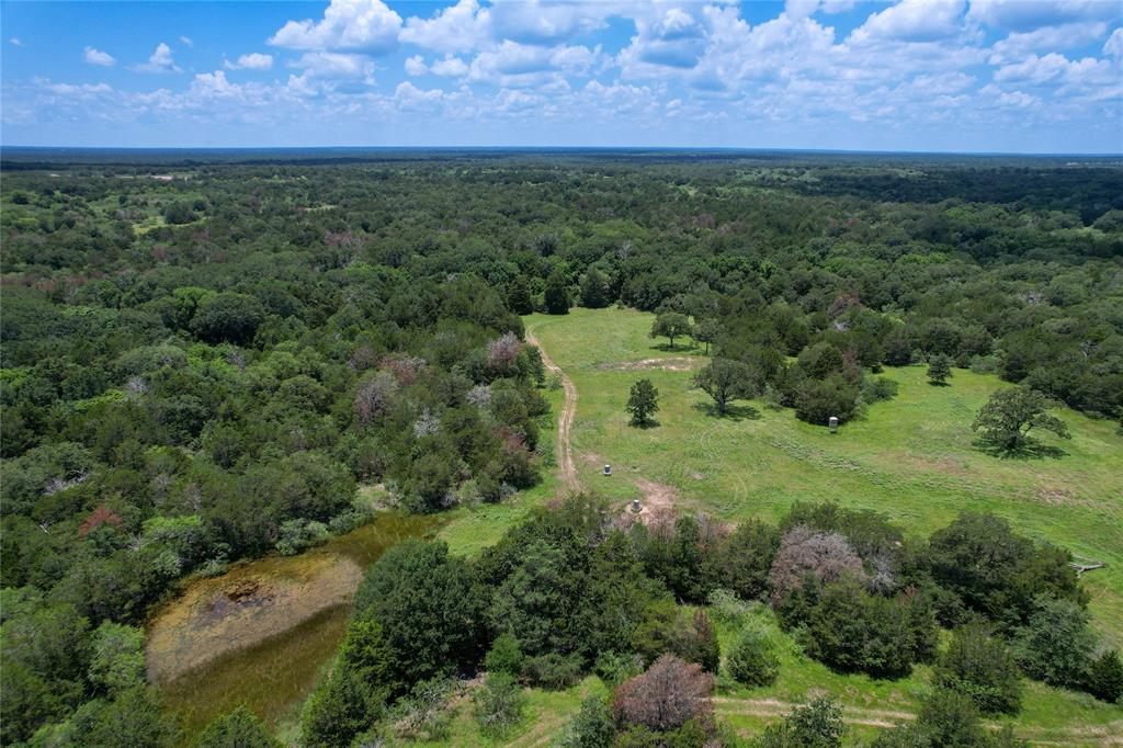 Boehnke Road, La Grange, Texas image 8