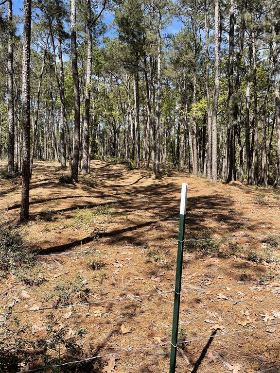 465 Creek Drive, Onalaska, Texas image 35