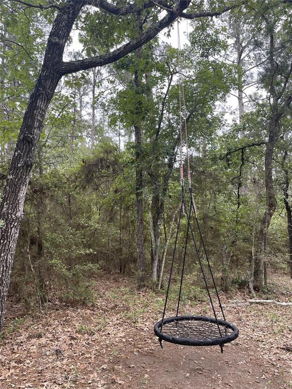 465 Creek Drive, Onalaska, Texas image 33
