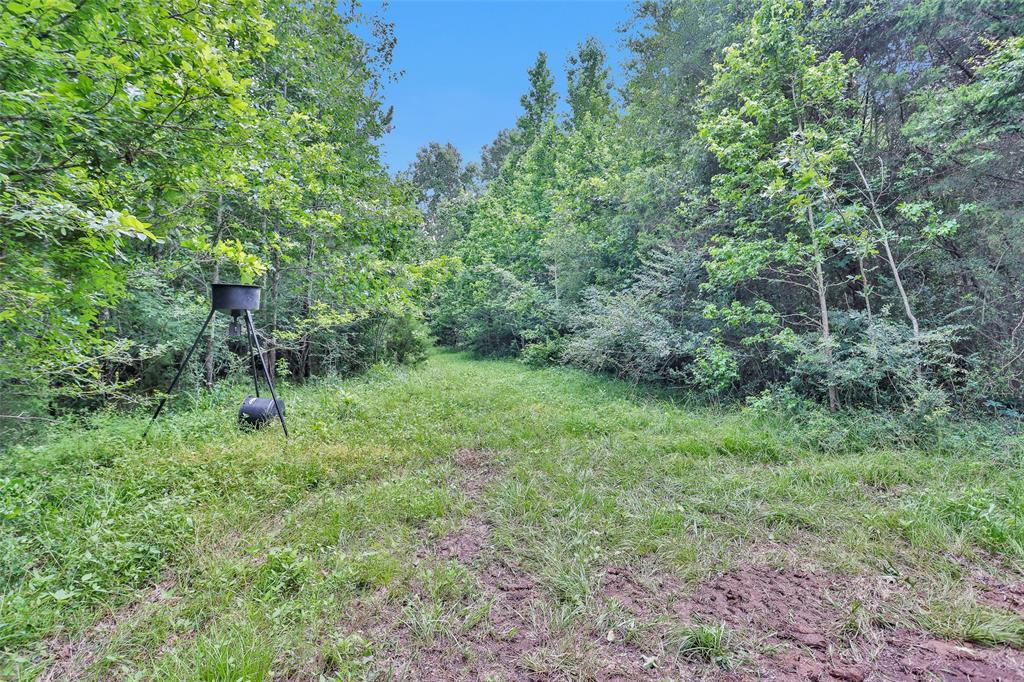 1137 Jones Road, New Waverly, Texas image 50