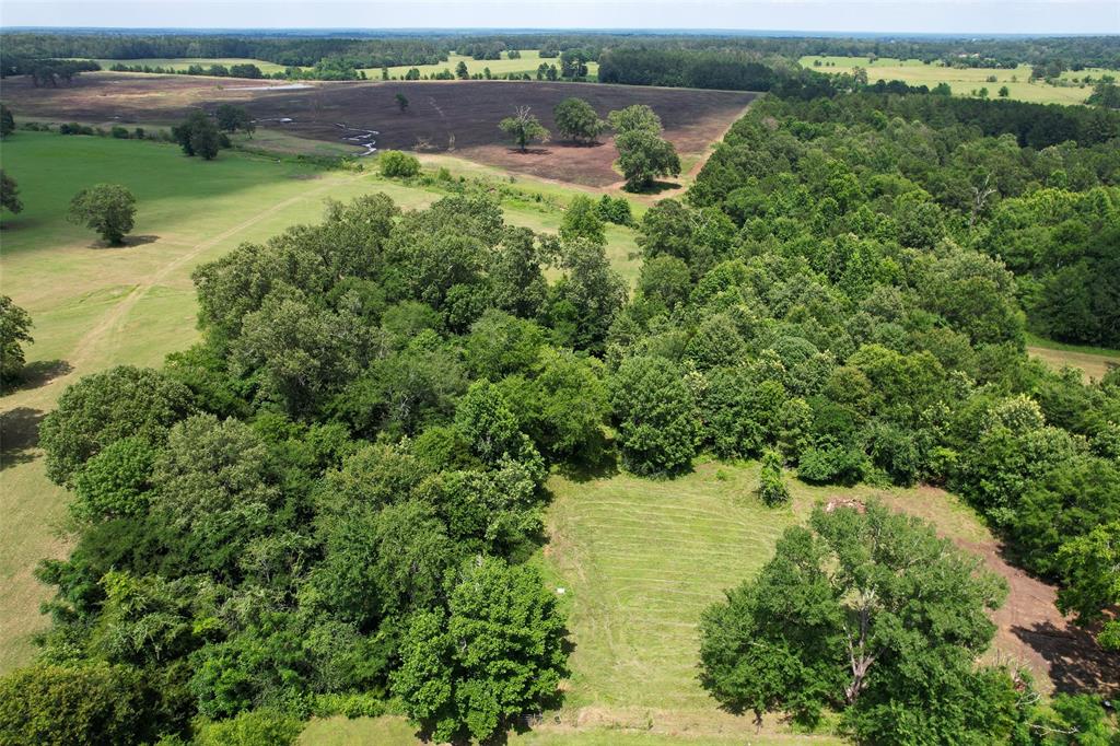 1137 Jones Road, New Waverly, Texas image 25