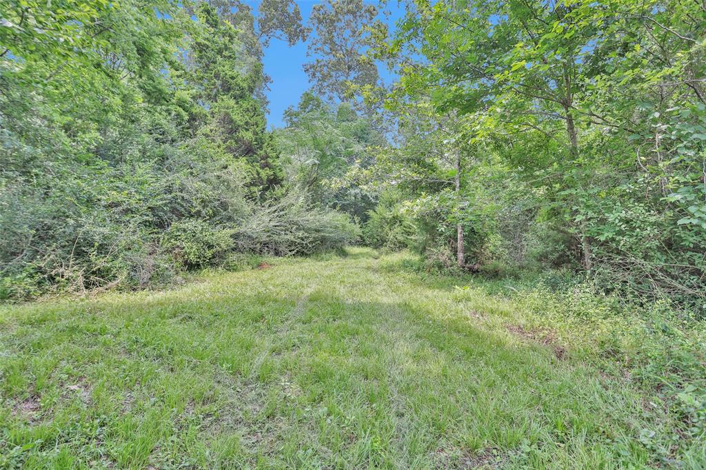 1137 Jones Road, New Waverly, Texas image 49