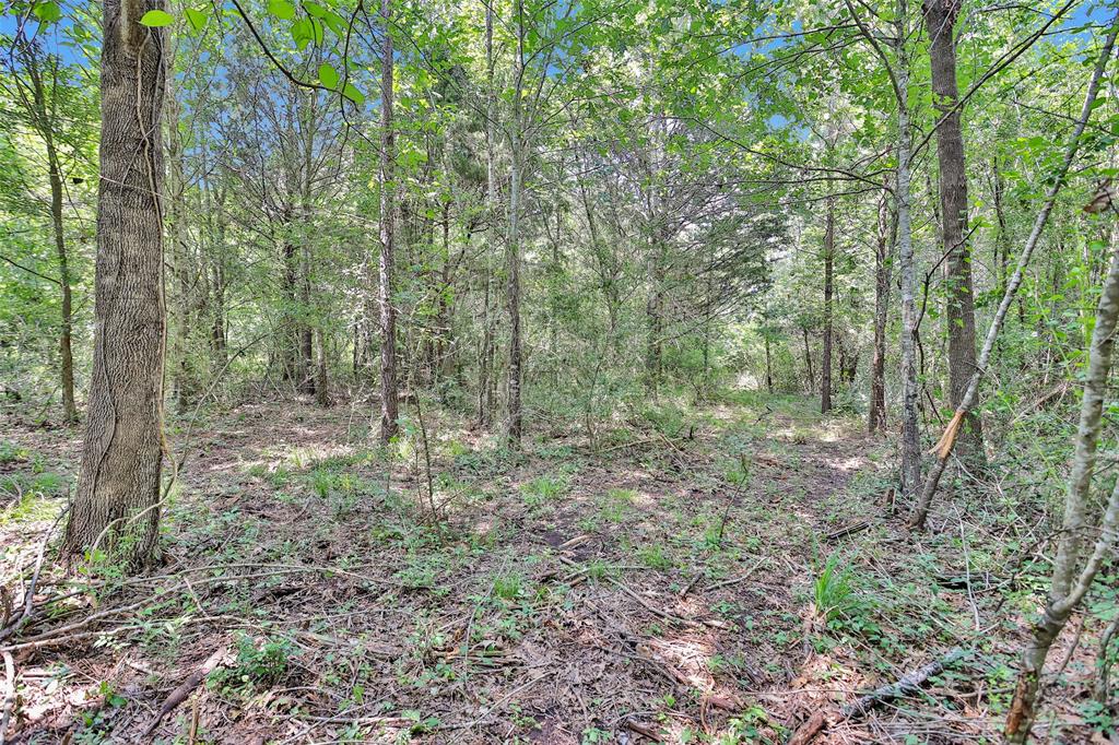 1137 Jones Road, New Waverly, Texas image 48