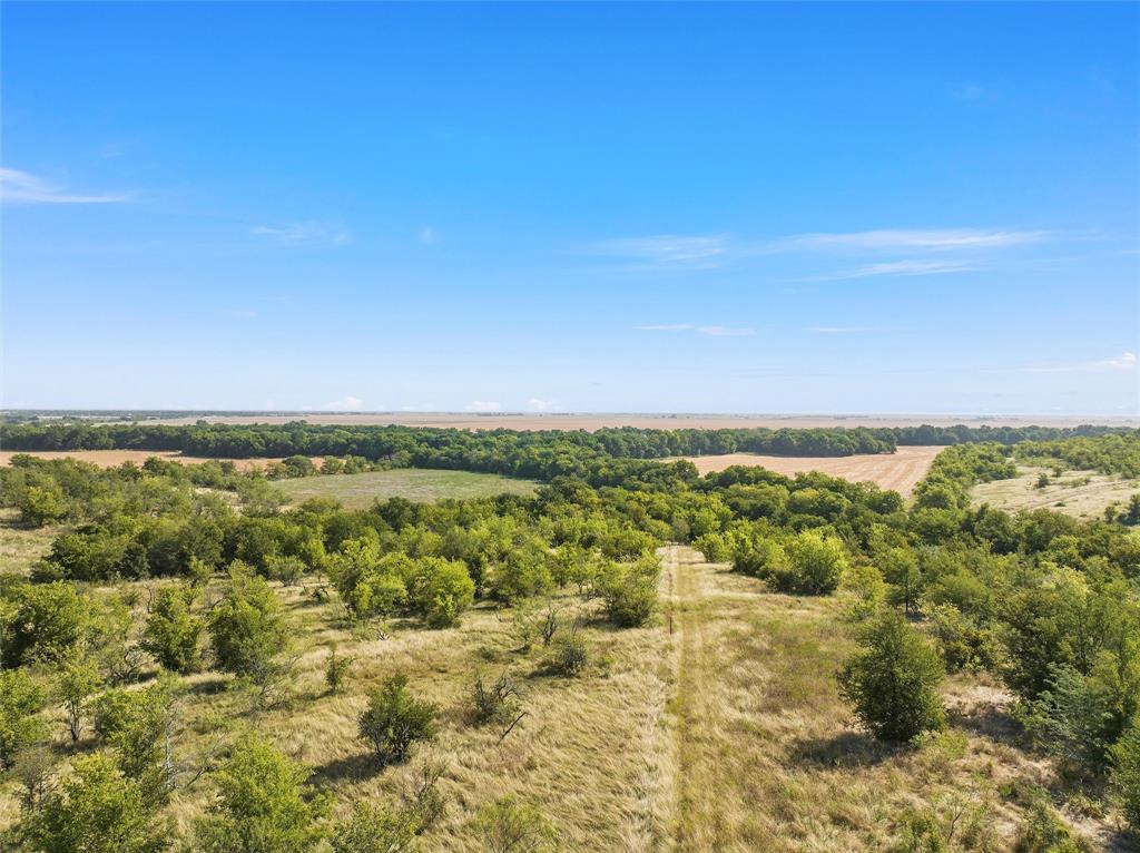 000 Hwy 77, Rosebud, Texas image 4