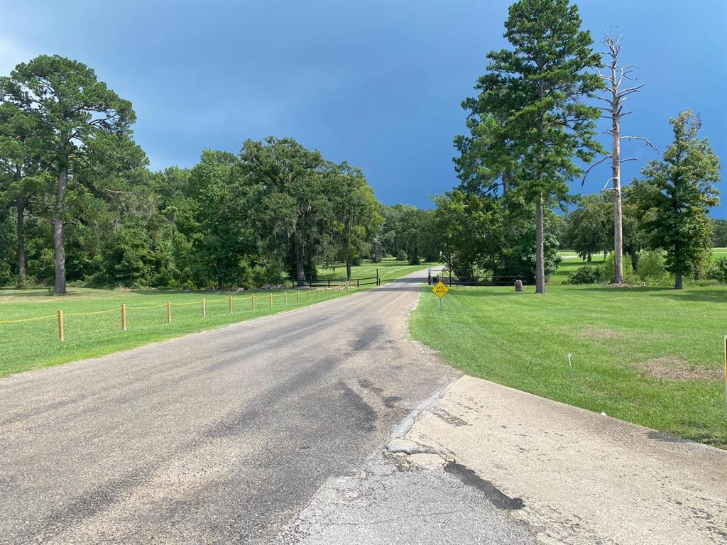 Lot 7 Monticello Street, Trinity, Texas image 3