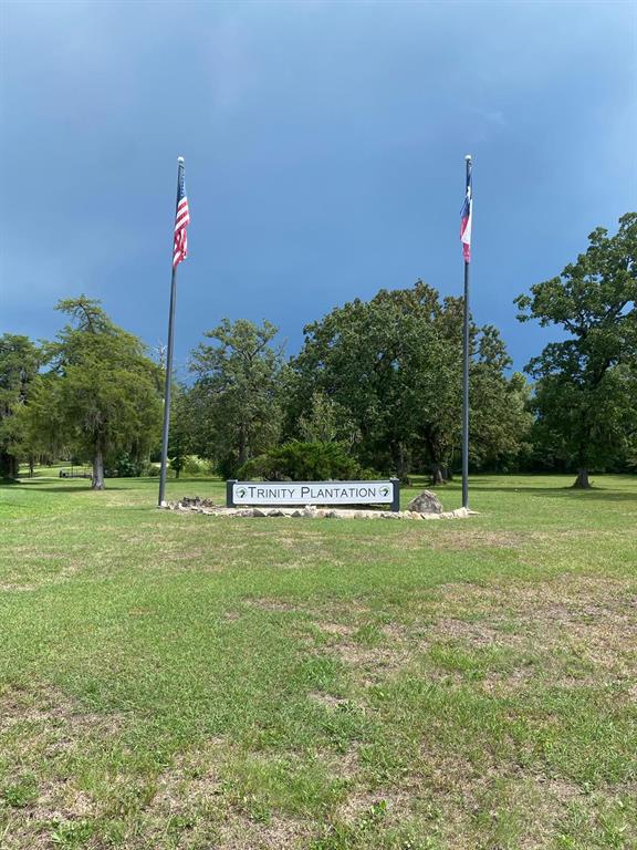 Lot 7 Monticello Street, Trinity, Texas image 9