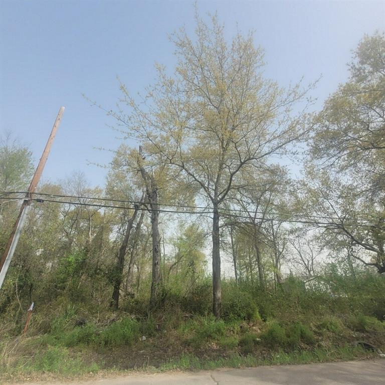 00 Mansfield Street, Houston, Texas image 4