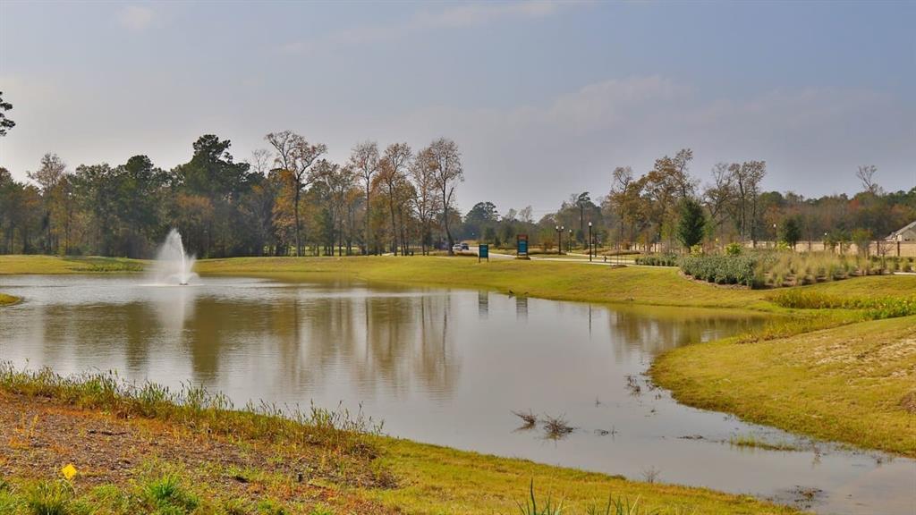 8574 Burdekin Road, Magnolia, Texas image 8
