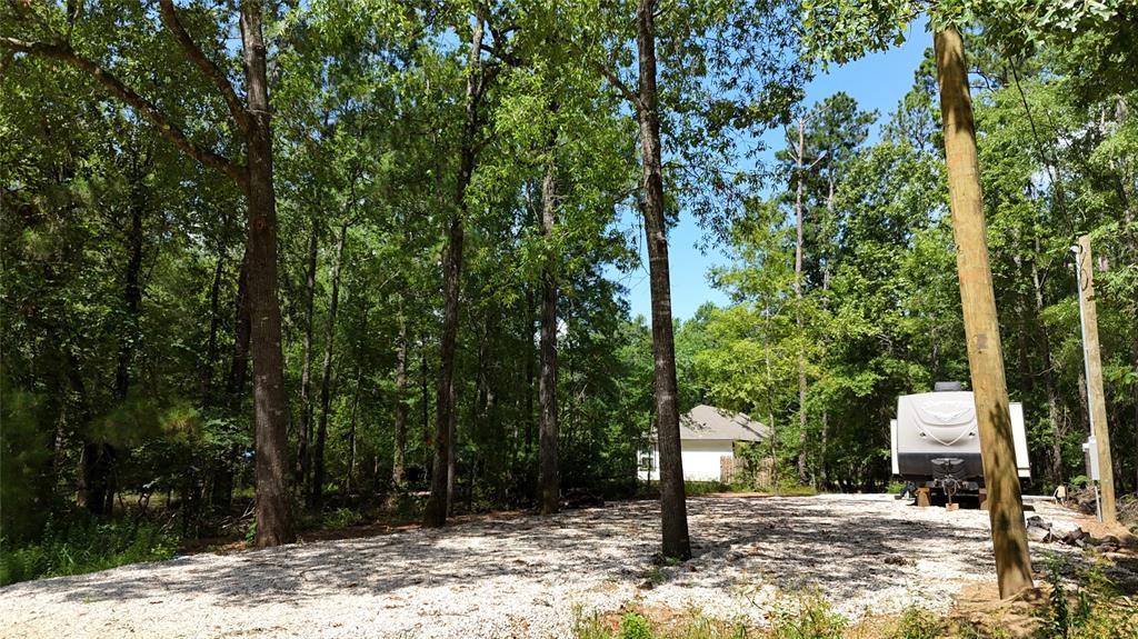 359 Knottypine