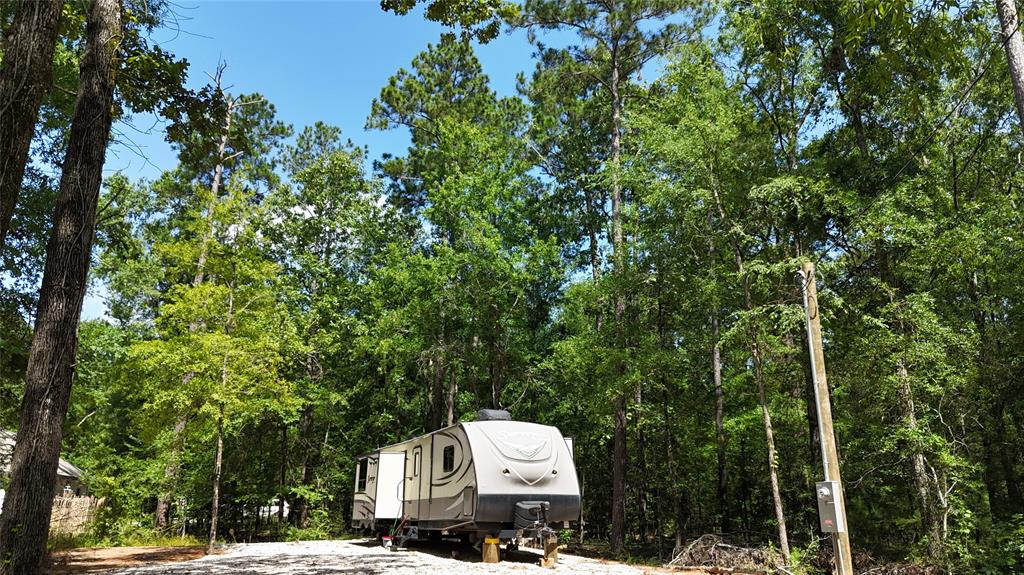 359 Knottypine