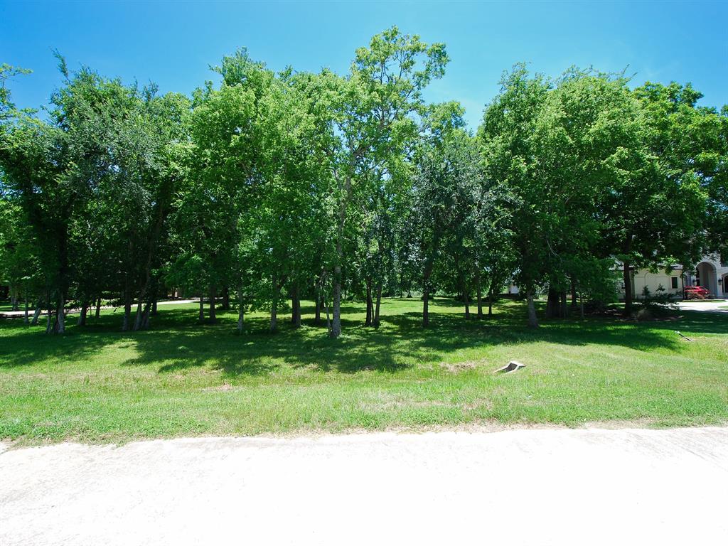 3219 Wellspring Lake Drive