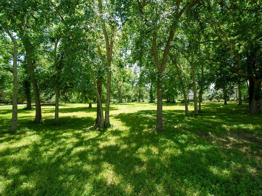3219 Wellspring Lake Drive, Fulshear, Texas image 6