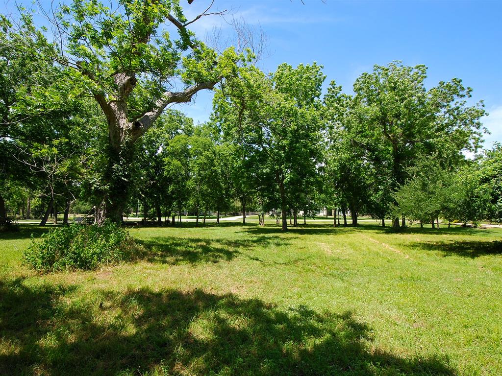 3219 Wellspring Lake Drive, Fulshear, Texas image 13