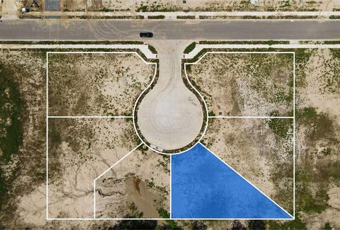 Photo of 2100 Joppi Court Ct, Bryan, TX 77807 (MLS # 77037569)