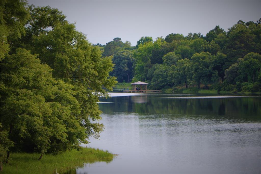 Catfish Creek, Lot 427 Court, Larue, Texas image 6