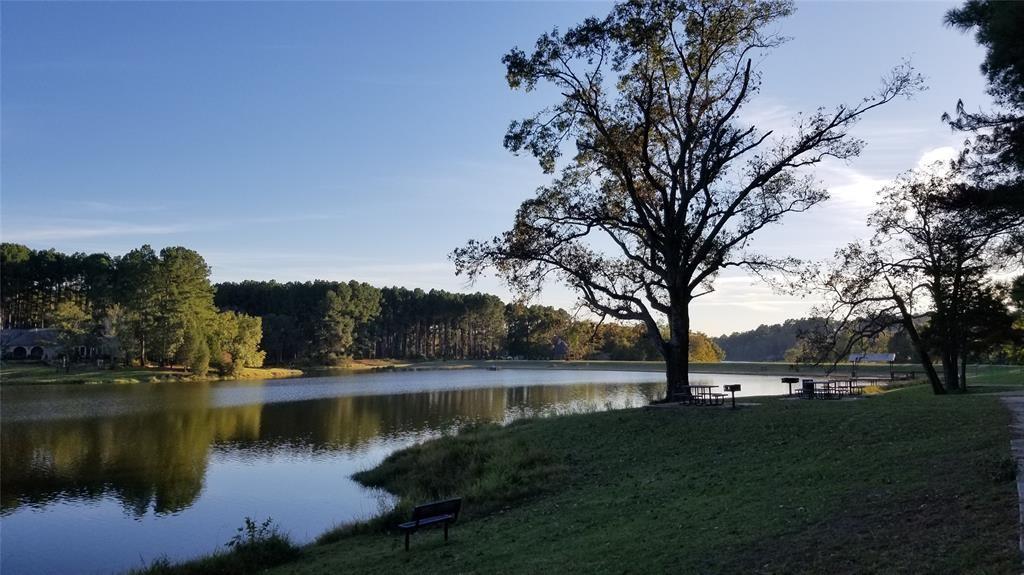 Catfish Creek, Lot 427 Court, Larue, Texas image 14