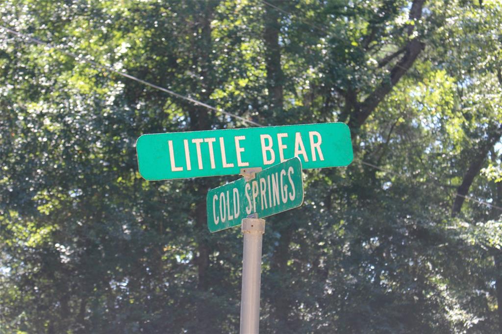 0000 Little Bear, Grapeland, Texas image 4