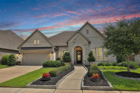 10007 Golden Woods Drive Missouri City TX 77459