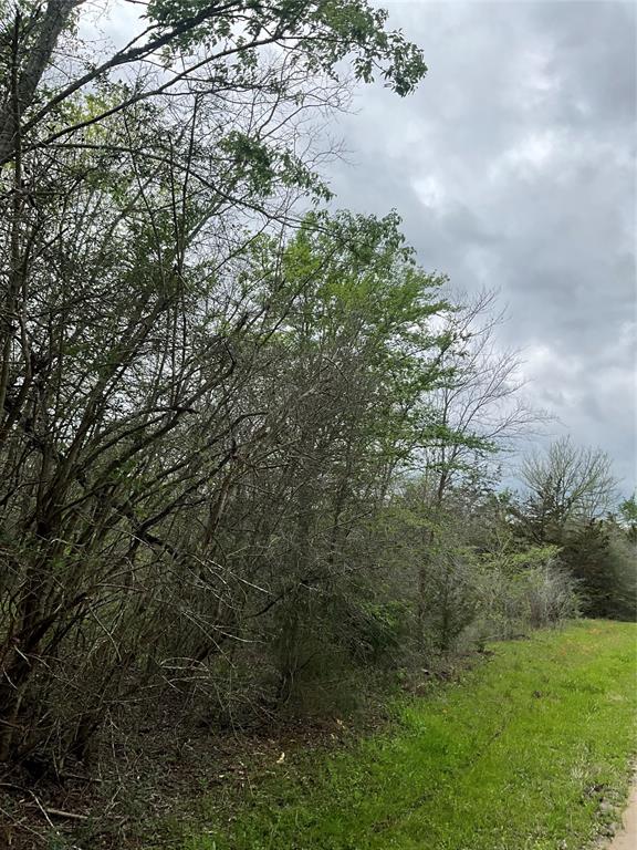 Tbd Cr 3590, Lovelady, Texas image 3