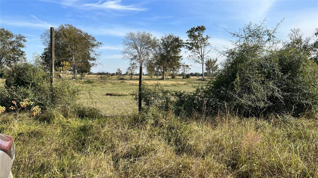 Brumbelow Road, Needville, Texas image 5