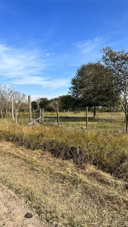 Brumbelow Road, Needville, Texas image 4