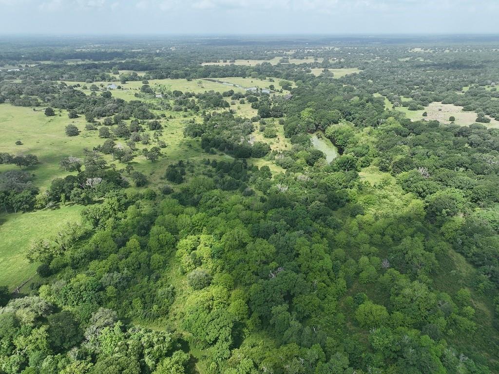 TBD Mach Road, La Grange, Texas image 7