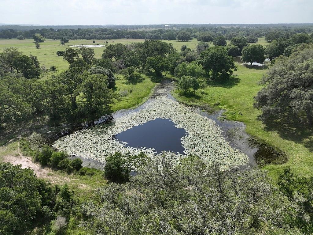 TBD Mach Road, La Grange, Texas image 12