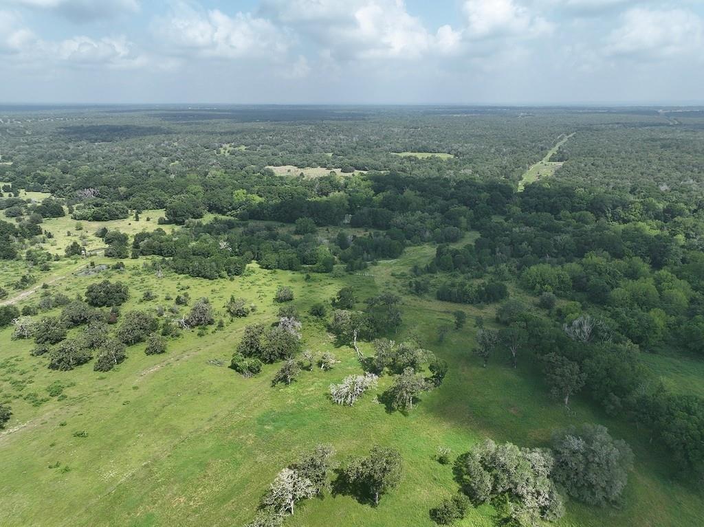 TBD Mach Road, La Grange, Texas image 20