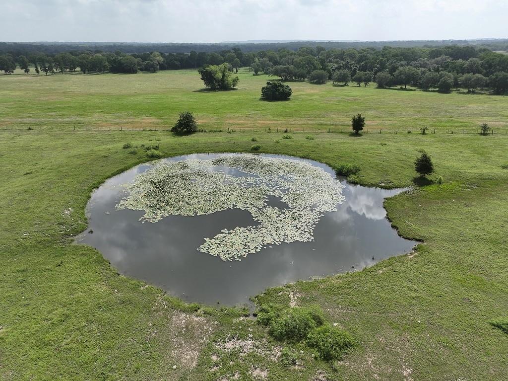 TBD Mach Road, La Grange, Texas image 16